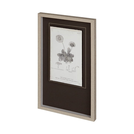 Mercana - Conversations on Botany IX by Mercana Studio Hand Embellished Framed Art Print Matted under Glass - 12347 view 1