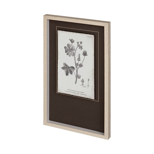 Mercana - Conversations on Botany VII by Mercana Studio Hand Embellished Framed Art Print Matted under Glass - 12345 view 1