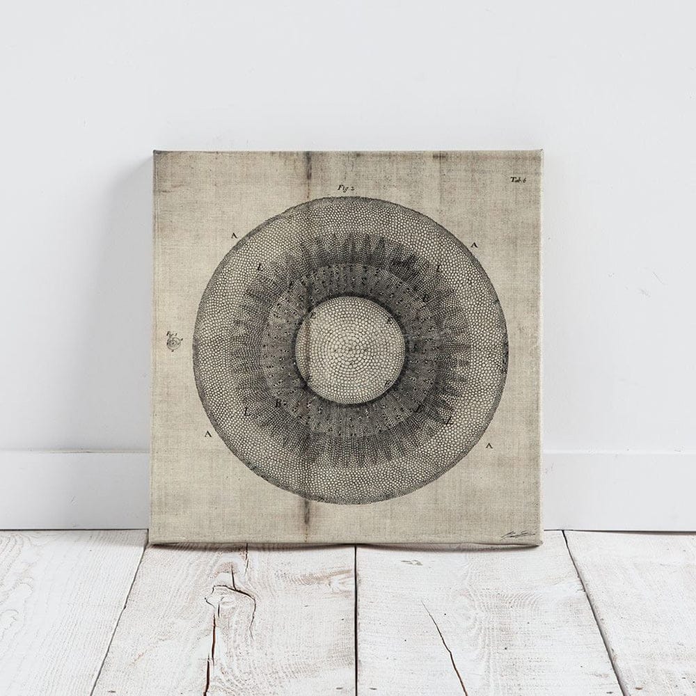 Mercana - Cross Cut II MC by Mercana Studio a Hand Embellished Textured Canvas - 100005-S view 2