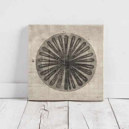 Mercana - Cross Cut III MC by Mercana Studio a Hand Embellished Textured Canvas - 100006-S view 2