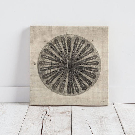 Mercana - Cross Cut III MC by Mercana Studio a Hand Embellished Textured Canvas - 100006-S view 2