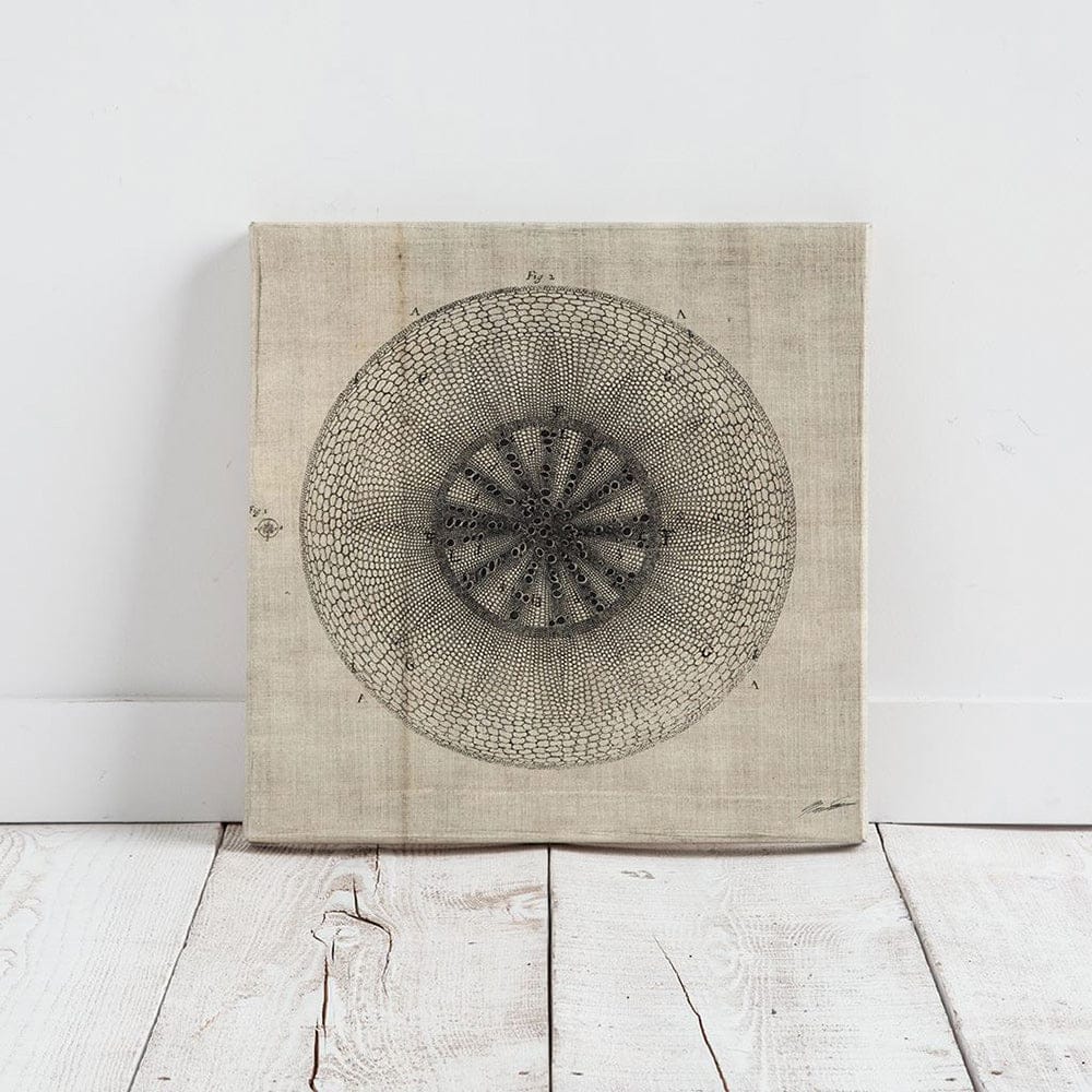 Mercana - Cross Cut IV MC by Mercana Studio a Hand Embellished Textured Canvas - 100007-S view 2