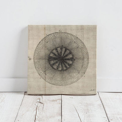 Mercana - Cross Cut IV MC by Mercana Studio a Hand Embellished Textured Canvas - 100007-S view 2