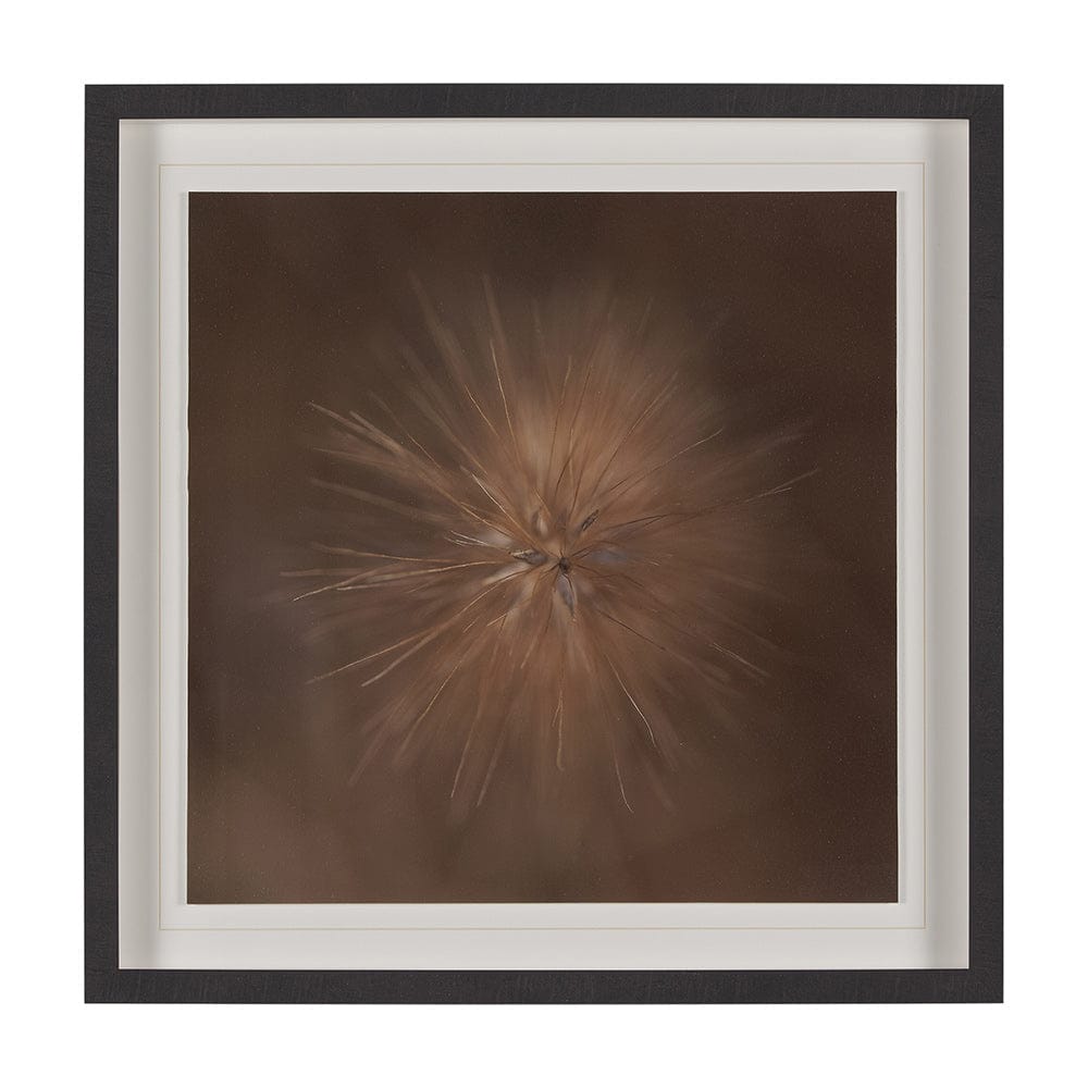 Mercana - Curious by Stig Kalvelid a Hand Embellished Framed Art Print Matted under Glass - 15555 view 1
