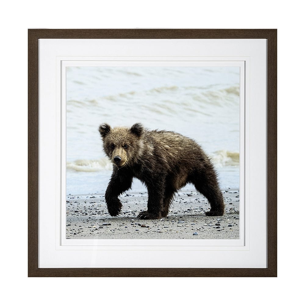 Mercana - Curious Cub by Wink Gaines a Hand Embellished Textured Framed Art Photograph Matted under Glass - 13403 view 1