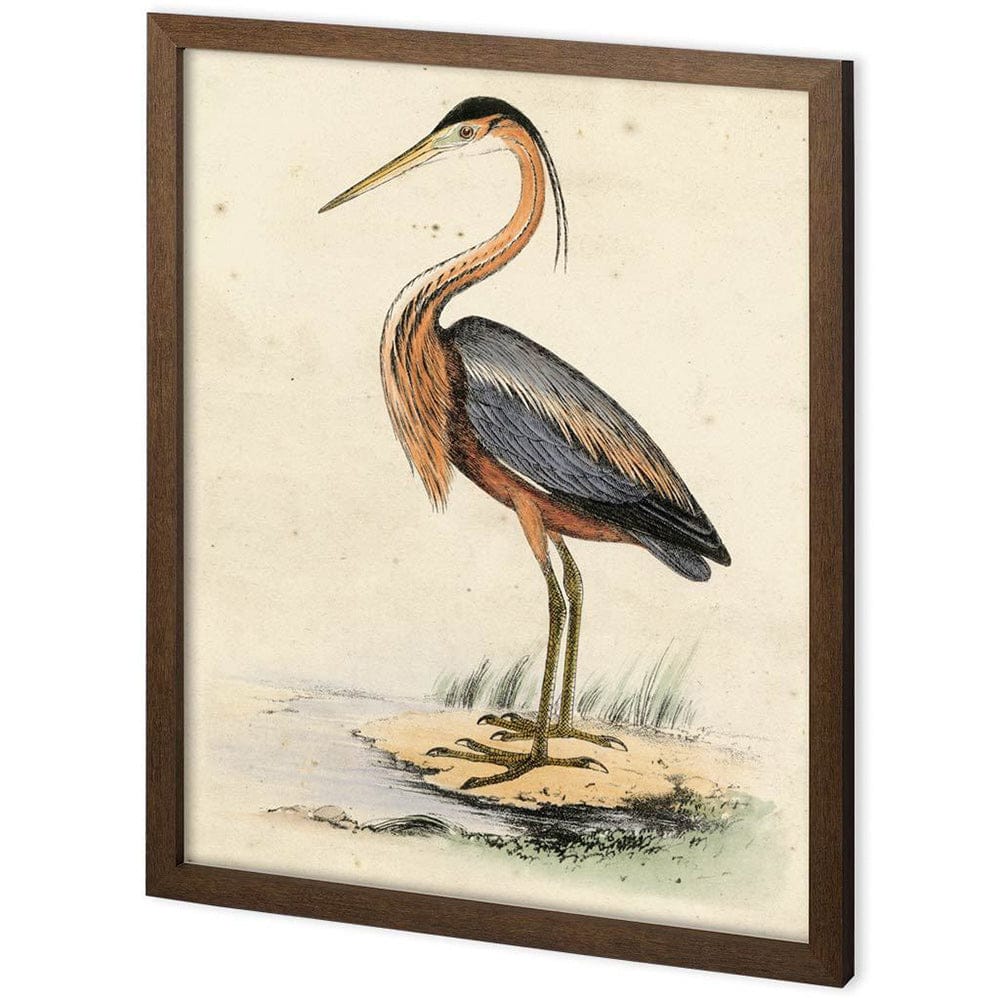 Mercana - Custom Antique Heron II by Ferdos Maleki a Hand Embellished Textured Framed Decograph Art Print - 11225 view 1