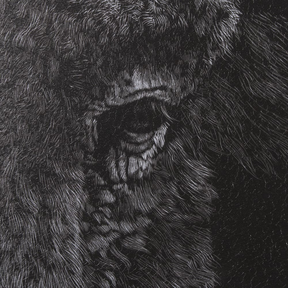 Mercana - Custom Black Glimpse I by Mercana Studio Hand Embellished Framed Art Print Matted under Glass - 11622 view 6