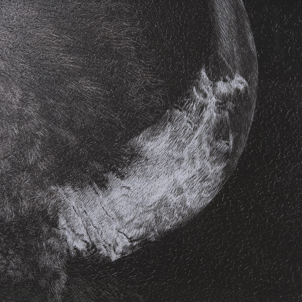 Mercana - Custom Black Glimpse I by Mercana Studio Hand Embellished Framed Art Print Matted under Glass - 11622 view 7
