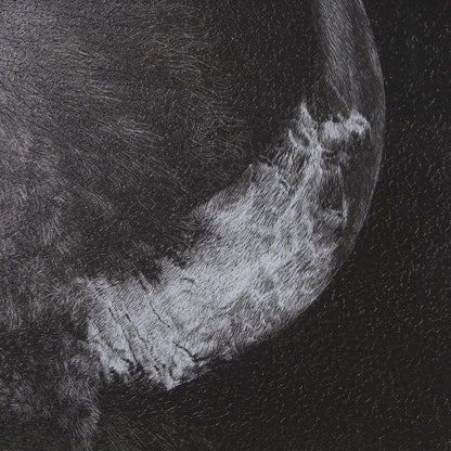 Mercana - Custom Black Glimpse I by Mercana Studio Hand Embellished Framed Art Print Matted under Glass - 11622 view 7