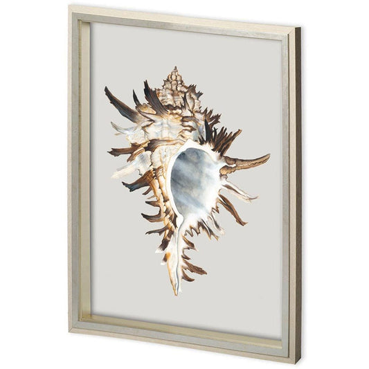 Mercana - Custom Black Murex by Maleki, Ferdos a Framed Art Print Matted under Glass - 11218 view 1