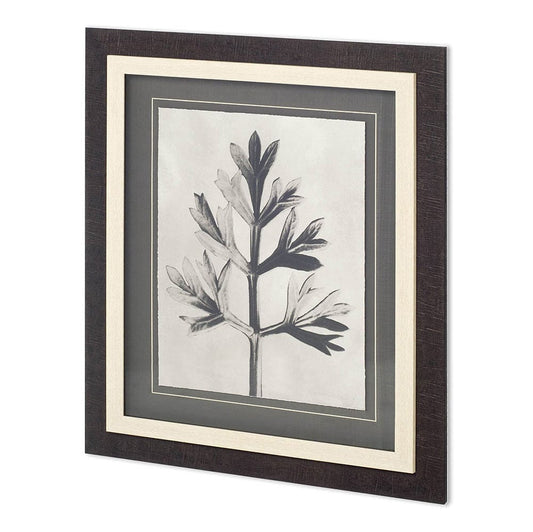 Mercana - Custom Blossfeldt Botanical I by Karl Blossfeldt Hand Embellished Framed Art Print Matted under Glas - 11964 view 1