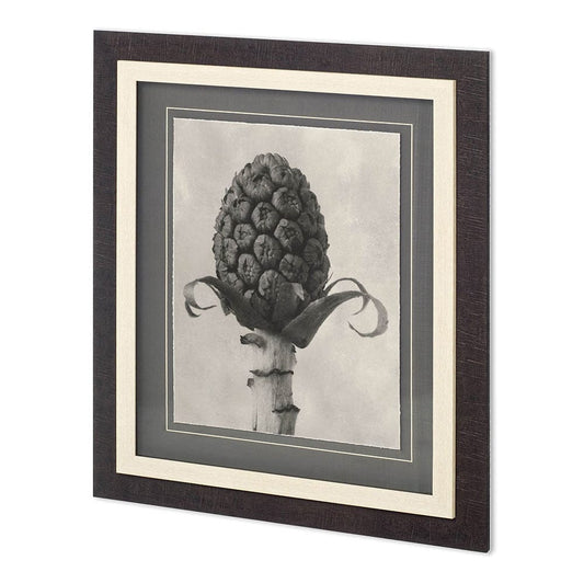 Mercana - Custom Blossfeldt Botanical IV Karl Blossfeldt Hand Embellished Framed Art Print Matted under Glass - 11966 view 1