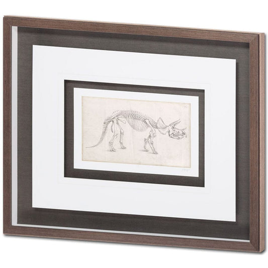 Mercana - Custom Dinosaur Study II MC by Harper, Ethan a Framed Art Print Matted under Glass - 9104 view 1