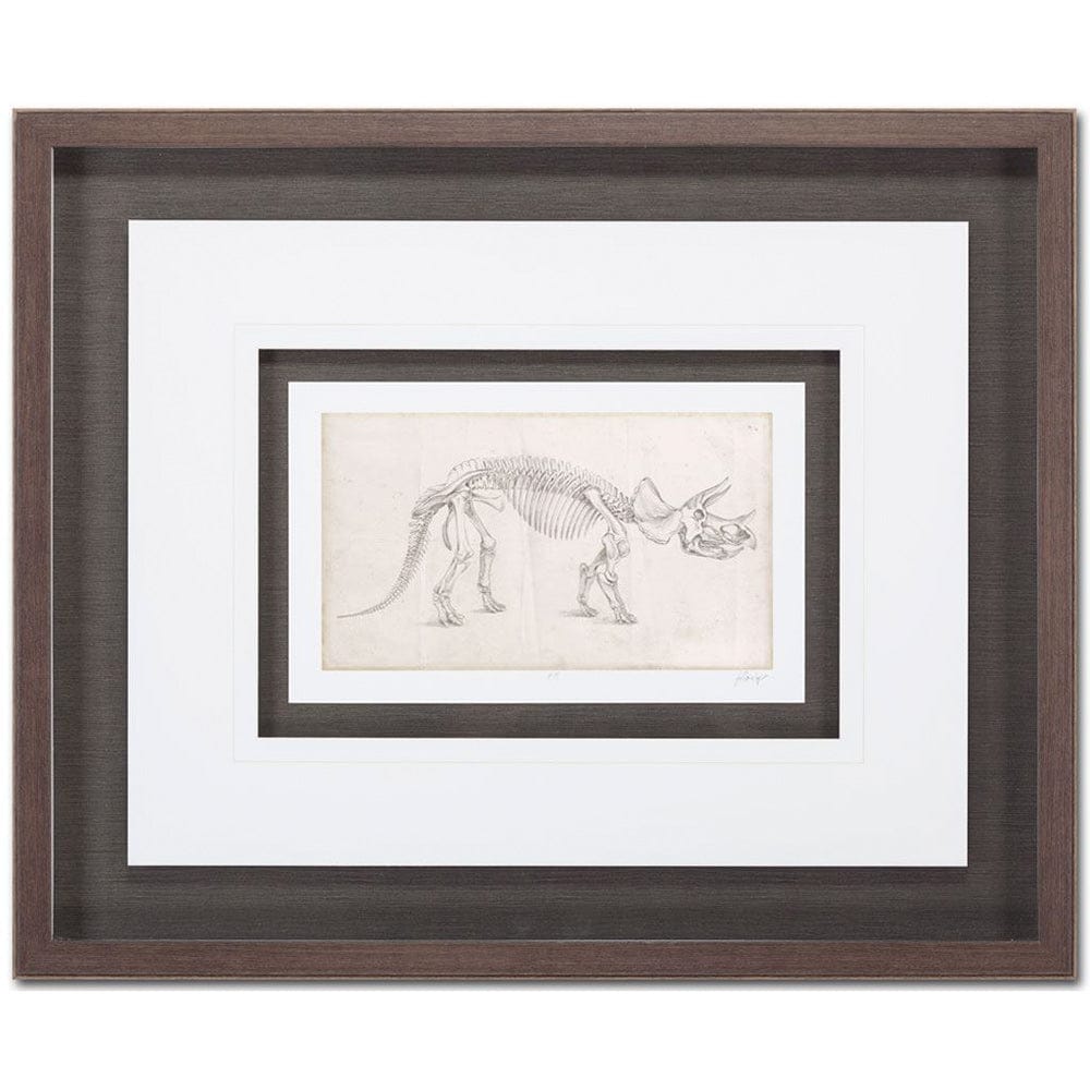 Mercana - Custom Dinosaur Study II MC by Harper, Ethan a Framed Art Print Matted under Glass - 9104 view 2
