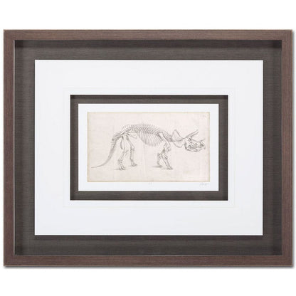 Mercana - Custom Dinosaur Study II MC by Harper, Ethan a Framed Art Print Matted under Glass - 9104 view 2