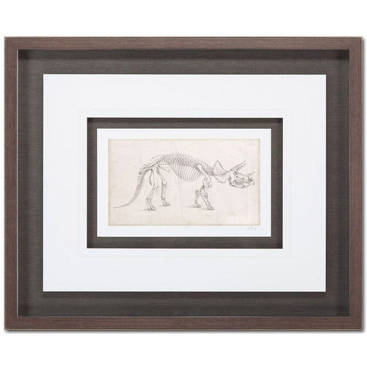 Mercana - Custom Dinosaur Study II MC by Harper, Ethan a Framed Art Print Matted under Glass - 9104 view 2