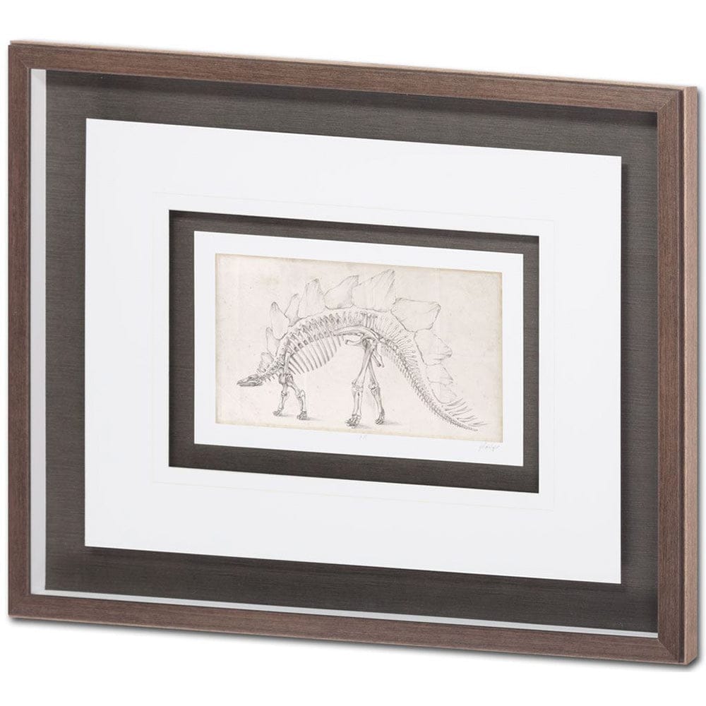 Mercana - Custom Dinosaur Study III MC by Harper, Ethan a Framed Art Print Matted under Glass - 9105 view 1