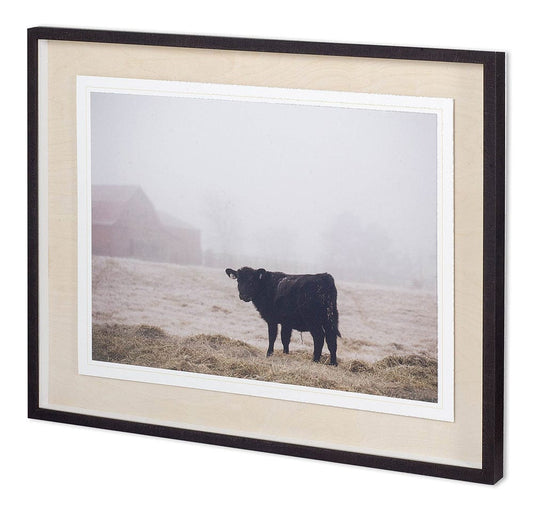 Mercana - Custom Farm Study II by Adam Mead a Framed Art Print Matted under Glass - 11335 view 1