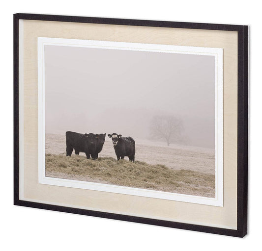 Mercana - Custom Farm Study V by Adam Mead a Framed Art Print Matted under Glass - 11338 view 1