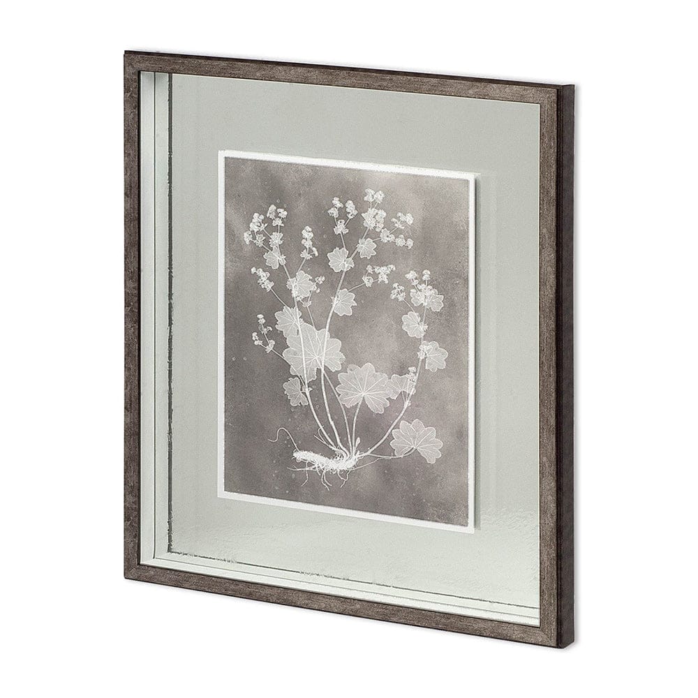 Mercana - Custom Herbarium Study I by Vision Studio Hand Embellished Framed Art Print Matted under Glass - 11416 view 1