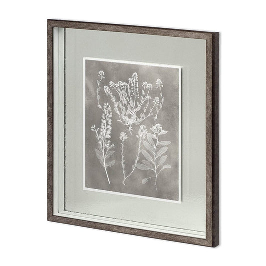 Mercana - Custom Herbarium Study III by Vision Studio Hand Embellished Framed Art Print Matted under Glass - 11418 view 1