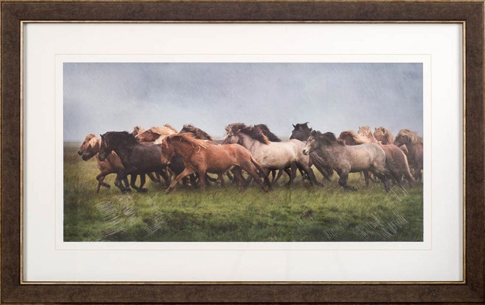 Mercana - Custom Icelandic Horses XIII MC by PH Burchett Hand Embellished Framed Art Print Matted under Glas - 10289 view 2