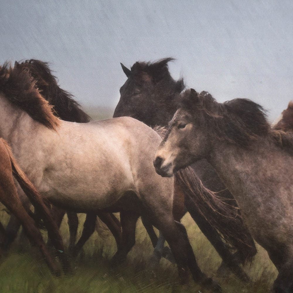Mercana - Custom Icelandic Horses XIII MC by PH Burchett Hand Embellished Framed Art Print Matted under Glas - 10289 view 4