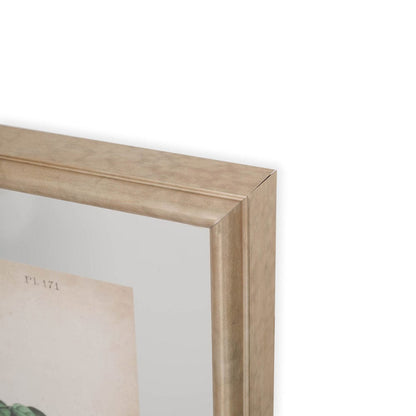 Mercana - Custom Indigo Bunting MC by Audubon a Framed Art Print Matted under Glass - 10474 view 3