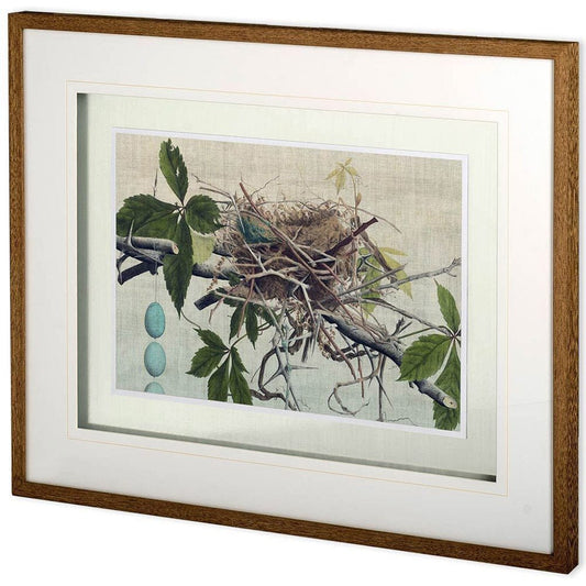 Mercana - Custom Nesting I MC by John Butler a Hand Embellished Textured Framed Art Print Matted under Glass - 10777 view 1
