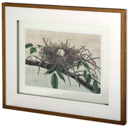 Mercana - Custom Nesting III MC by John Butler Hand Embellished Textured Framed Art Print Matted under Glass - 10779 view 1