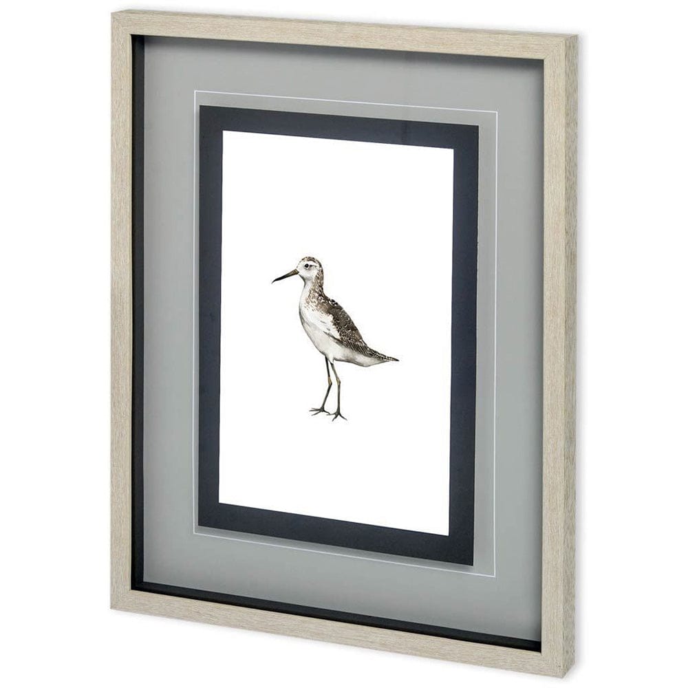 Mercana - Custom Sea Bird VI by Grace Popp a Framed Art Print Matted under Glass - 10732 view 1