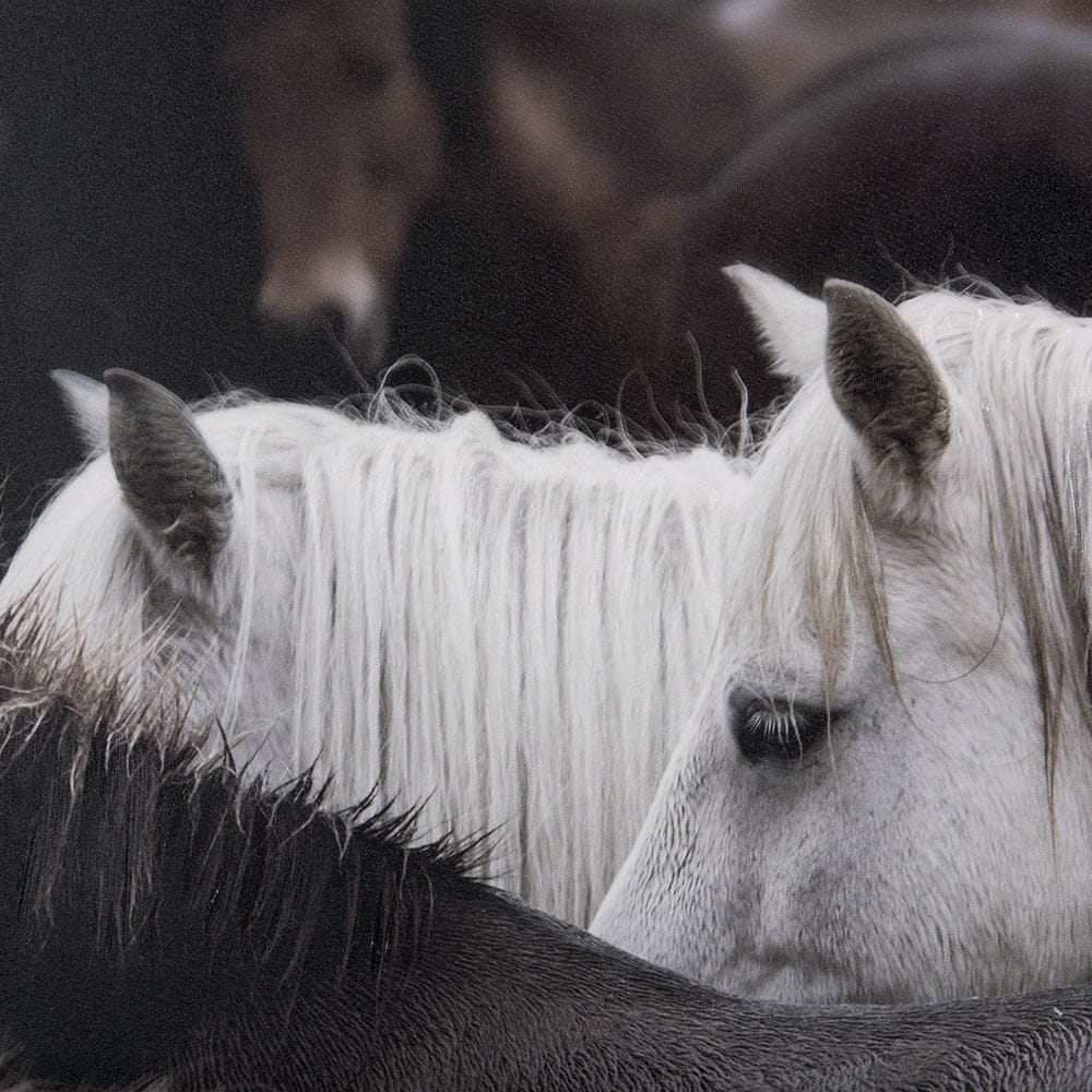 Mercana - Custom White Horses MC by PH Burchett a Hand Embelished Textured Framed Art Decograph - 10466 view 7