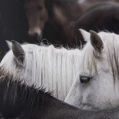 Mercana - Custom White Horses MC by PH Burchett a Hand Embelished Textured Framed Art Decograph - 10466 view 7