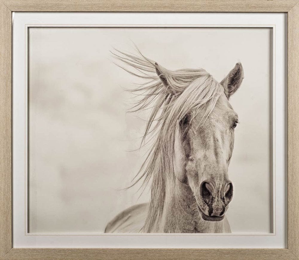 Mercana - Custom Wind Blown Mane I MC by PHBurchett a Framed Art Print Matted under Glass - 10373 view 2