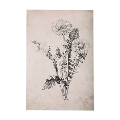 Mercana - Dandelion Drawing II by Mercana Studio a Hand Embellished Textured Canvas - 102452-L view 1