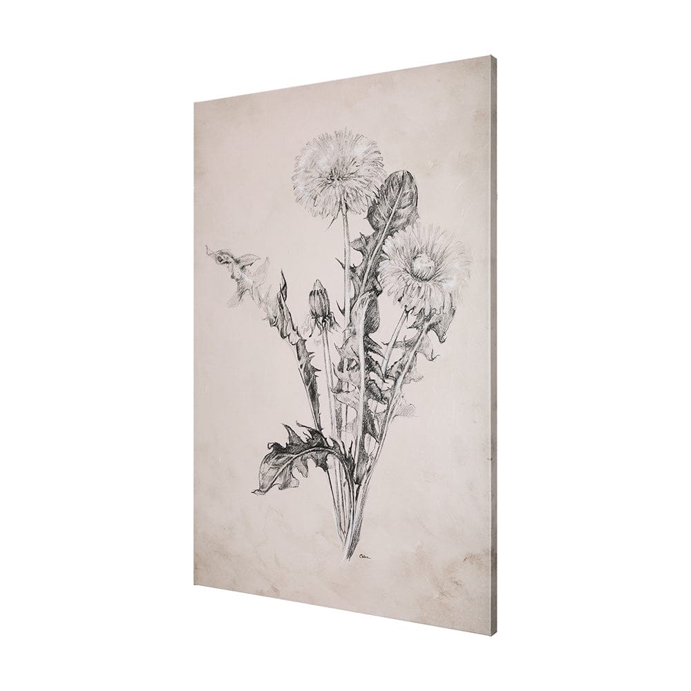 Mercana - Dandelion Drawing II by Mercana Studio a Hand Embellished Textured Canvas - 102452-S view 2