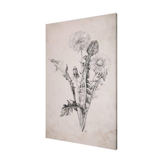 Mercana - Dandelion Drawing II by Mercana Studio a Hand Embellished Textured Canvas - 102452-S view 2