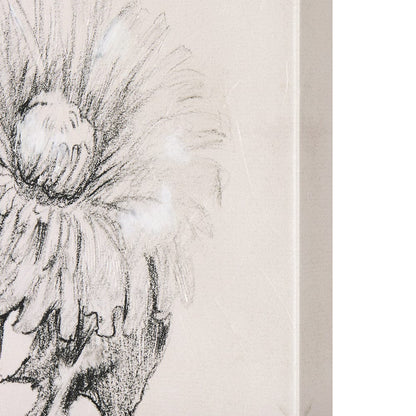 Mercana - Dandelion Drawing II by Mercana Studio a Hand Embellished Textured Canvas - 102452-S view 4