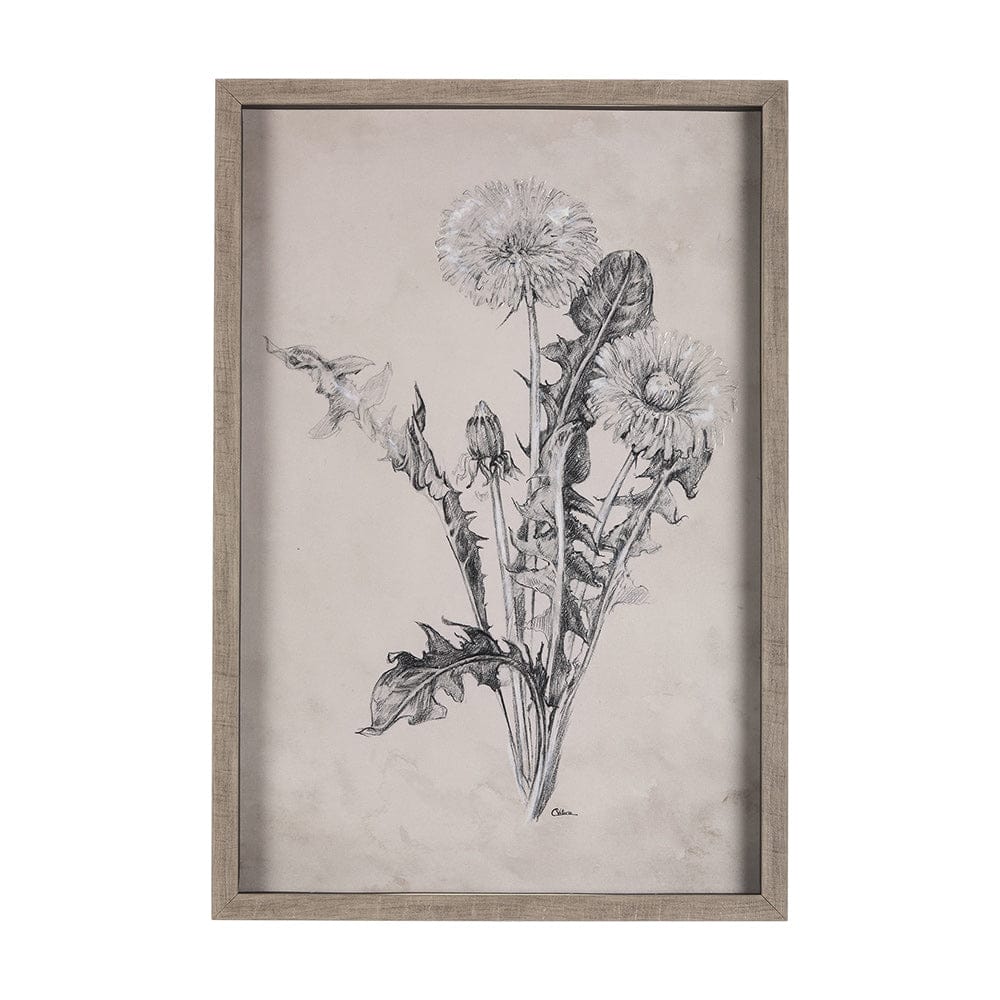 Mercana - Dandelion Drawing II by Mercana Studio Hand Embellished Textured Framed Art Print Matted under Glass - 14702 view 1