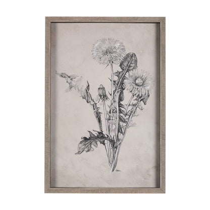 Mercana - Dandelion Drawing II by Mercana Studio Hand Embellished Textured Framed Art Print Matted under Glass - 14702 view 1