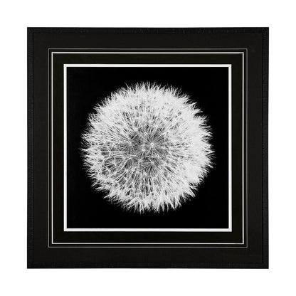 Mercana - Dandelion on Black I by Aledanda a Framed Art Print Matted under Glass - 13338 view 1