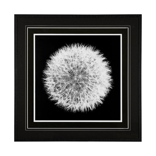 Mercana - Dandelion on Black I by Aledanda a Framed Art Print Matted under Glass - 13338 view 1