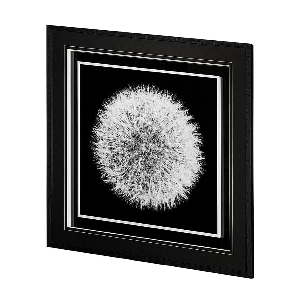 Mercana - Dandelion on Black I by Aledanda a Framed Art Print Matted under Glass - 13338 view 2
