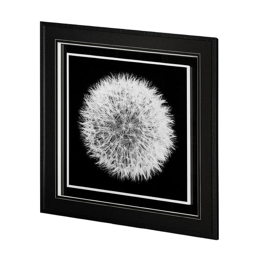 Mercana - Dandelion on Black I by Aledanda a Framed Art Print Matted under Glass - 13338 view 2