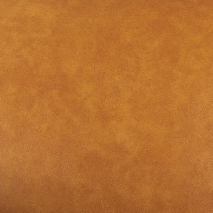 Mercana - D'Arcy 65.0L x 37.0W x 34.0H Tan Leather Love Seat - 69643 view 12