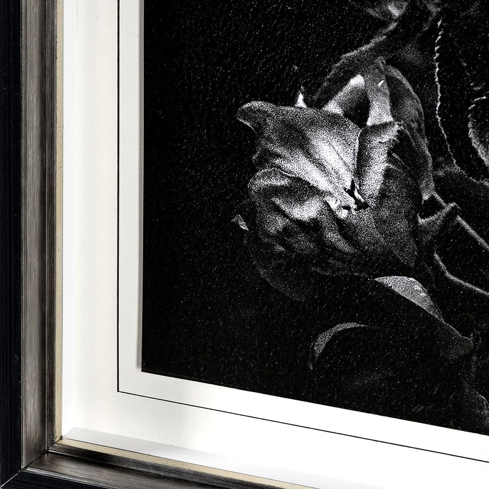 Mercana - Dark Blossoms by Brian Carson a Hand Embellished Textured Framed Art Print Matted under Glass - 13232 view 5