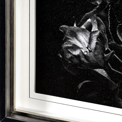 Mercana - Dark Blossoms by Brian Carson a Hand Embellished Textured Framed Art Print Matted under Glass - 13232 view 5