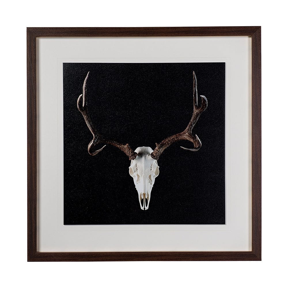 Mercana - Deer Skull by Chris Dunker a Hand Embelished Textured Framed Art Print Matted under Glass - 13170 view 1