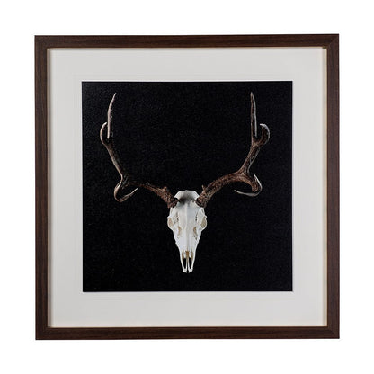 Mercana - Deer Skull by Chris Dunker a Hand Embelished Textured Framed Art Print Matted under Glass - 13170 view 1
