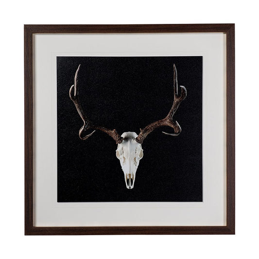 Mercana - Deer Skull by Chris Dunker a Hand Embelished Textured Framed Art Print Matted under Glass - 13170 view 1